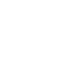 Lights Out
