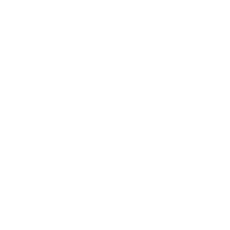 Frozone's Stunt