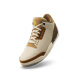 Air Jordan 3 Retro 'Palomino'