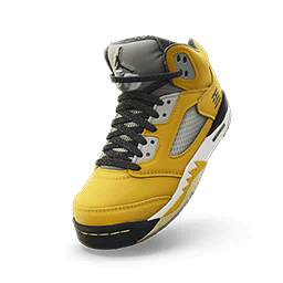 Air Jordan 5 'Tokyo 23'